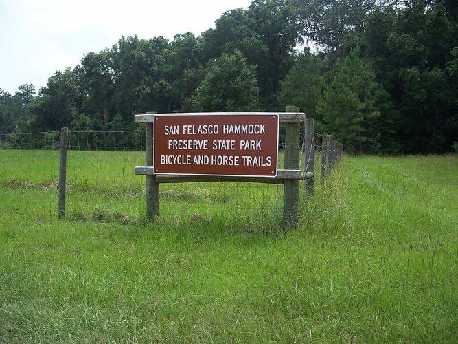 Hammock Preserve State Park Entrance / Wikipedia / Ebyabe

Link: https://en.wikipedia.org/wiki/San_Felasco_Hammock_Preserve_State_Park#/media/File:San_Felasco_Hammock_entr01.jpg