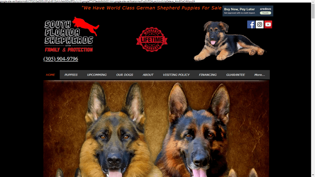 Homepage of South Florida German Shepherds's Website / southfloridashepherds.com