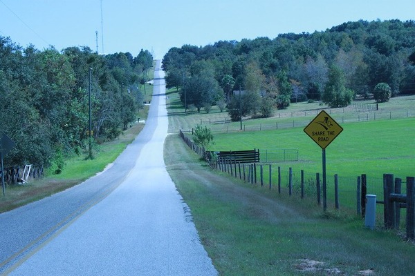 The road leading to the summit of Sugarloaf Mountain / Flickr / Mike Schubert

Link: https://flic.kr/p/7ba5jd