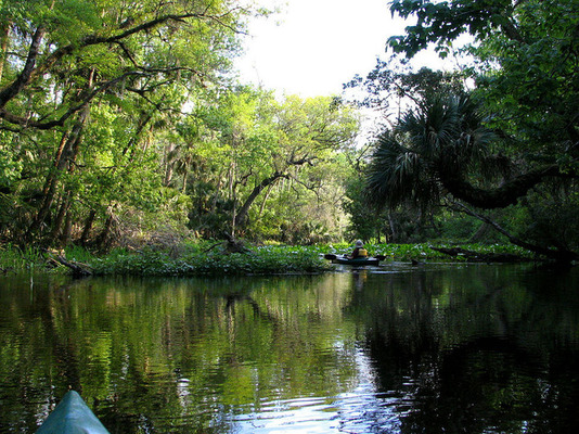 Wekiwa Spring / Wikipedia / Mwanner

Link: https://en.wikipedia.org/wiki/Wekiwa_Springs_State_Park#/media/File:Wekiwa_Run.jpg