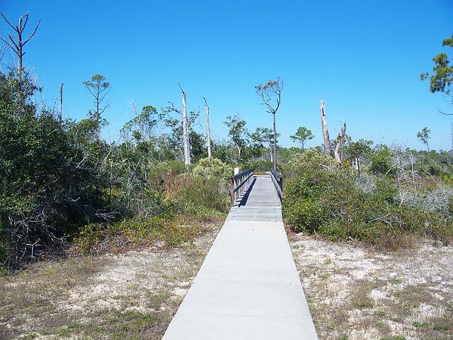 Big Lagoon State Park / Wikipedia Commons / Ebyabe
Link: https://commons.wikimedia.org/wiki/File:Pensacola_FL_Big_Lagoon_SP01.jpg