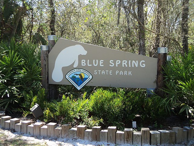 Blue Spring State Park Orange City / Wikimedia Commons / Gabriel Vanslette
Link: https://commons.wikimedia.org/wiki/File:Blue_Spring_State_Park_-_Orange_City,_FL_-_panoramio.jpg