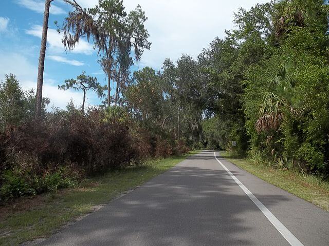 Hillsborough River State Park / Wikimedia Commons / Ebyabe
Link: https://commons.wikimedia.org/wiki/File:Hillsborough_River_SP_road01.jpg