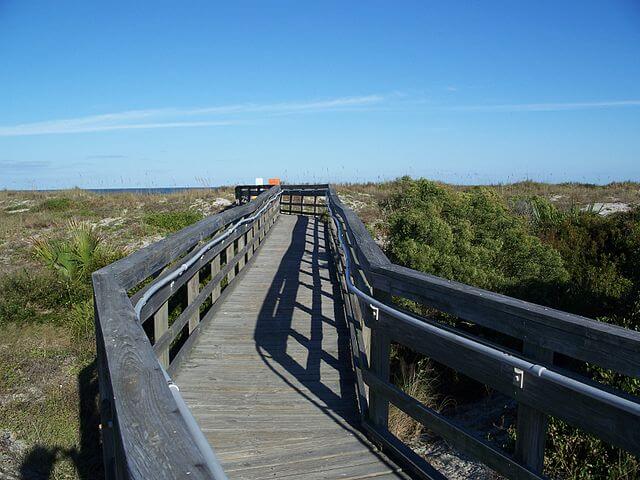 Talbot Island State Park / Wikimedia Commons / Ebyabe
https://commons.wikimedia.org/wiki/File:Little_Talbot_Island_SP_bdwk03.jpg