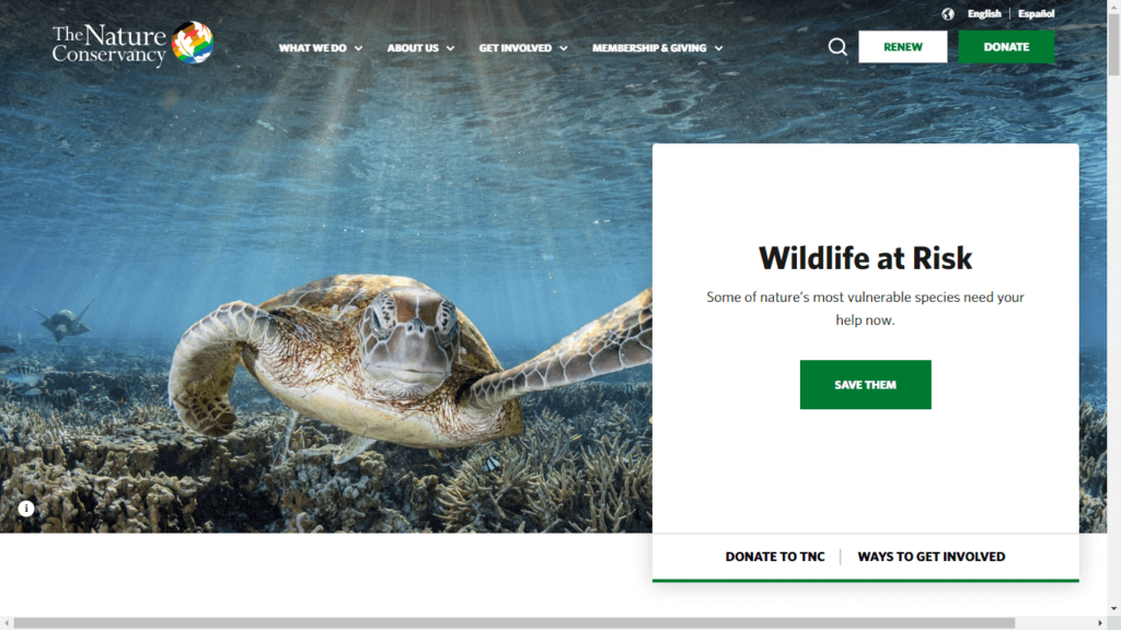 Homepage of The Nature Conservancy's Disney Wilderness Preserve's Website / nature.org