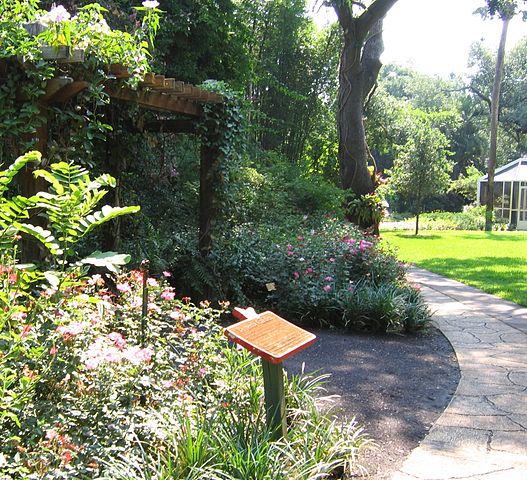 Butterfly Garden at Sunken Gardens / Wikipedia / LaggedOnUser
Link: https://en.wikipedia.org/wiki/Sunken_Gardens_(Florida)#/media/File:Sunken_Gardens_Butterfly_Garden.jpg 
