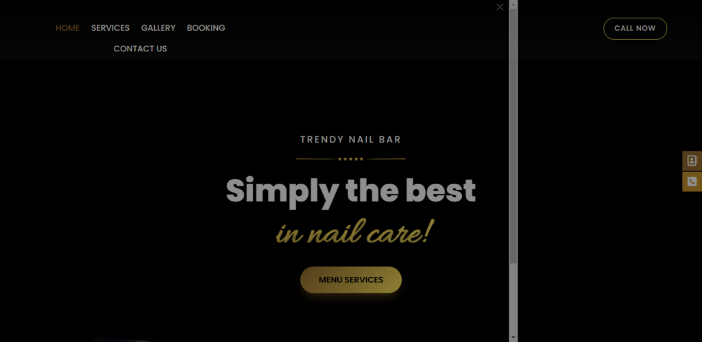 Homepage of Trendy Nail Bar website / trendynailbartampa.com 