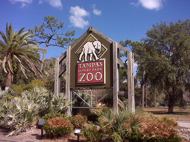 The main entrance to ZooTampa at Lowry Park / Wikipedia / TampAGS
Link: https://en.wikipedia.org/wiki/ZooTampa_at_Lowry_Park#/media/File:Lowry_Park_Zoo_Sign_in_Tampa.jpg 
