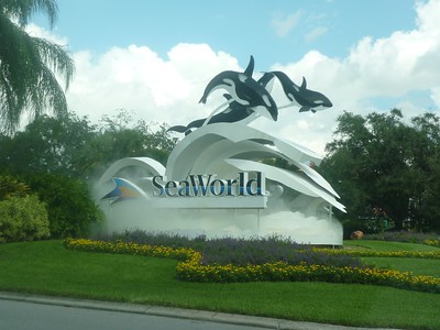 SeaWorld Orlando / Flickr / Marcsfc
Link: https://flic.kr/p/6YK2AQ 
